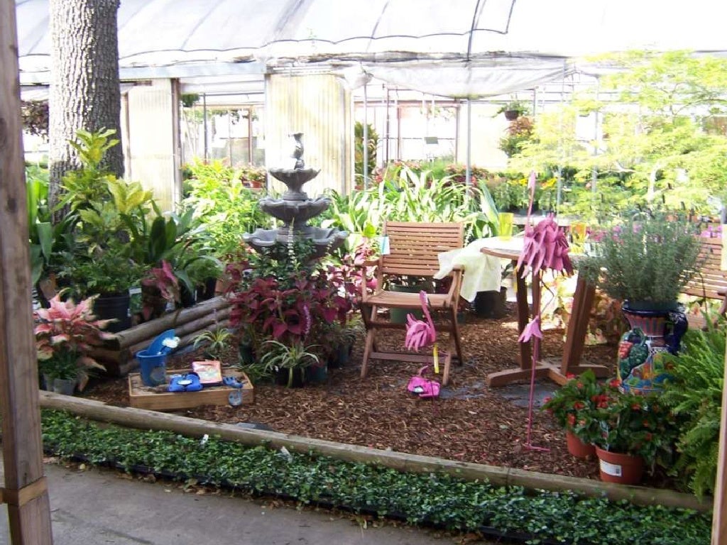 Ecgc case study picture