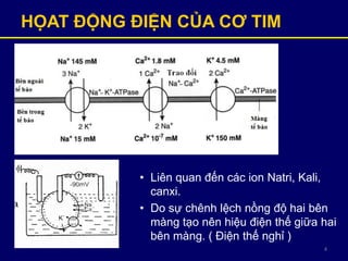 4
HỌAT ĐỘNG ĐIỆN CỦA CƠ TIM
• Liên quan đến các ion Natri, Kali,
canxi.
• Do sự chênh lệch nồng độ hai bên
màng tạo nên hiệu điện thế giữa hai
bên màng. ( Điện thế nghỉ )
 