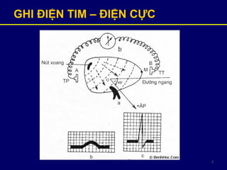 7
GHI ĐIỆN TIM – ĐIỆN ỰC
 
