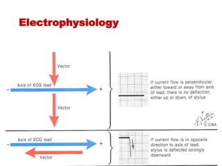 Electrophysiology
 