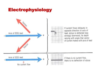 Electrophysiology
 