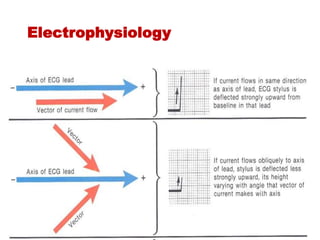 Electrophysiology
 