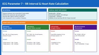 ECG_Comprehensive_Guide-Model_Bbbbb.pptx