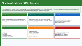 ECG_Comprehensive_Guide-Model_Bbbbb.pptx
