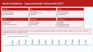 ECG_Comprehensive_Guide-Model_Bbbbb.pptx