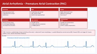 ECG_Comprehensive_Guide-Model_Bbbbb.pptx