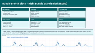 ECG_Comprehensive_Guide-Model_Bbbbb.pptx