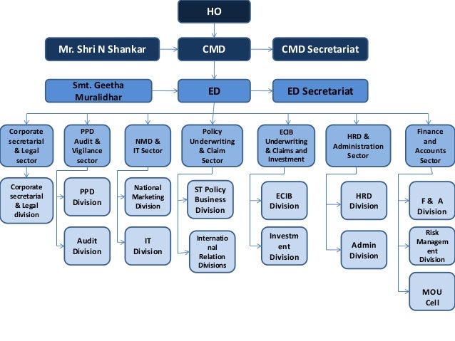 puma organisational structure
