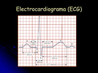 Electrocardiograma (ECG)
 
