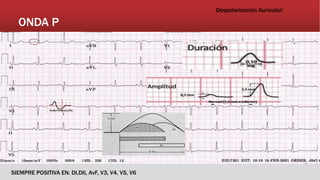 ONDA P
Despolarización Auricular!
SIEMPRE POSITIVA EN: DI,DII, AvF, V3, V4, V5, V6
 