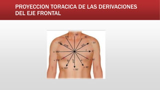 PROYECCION TORACICA DE LAS DERIVACIONES
DEL EJE FRONTAL
 