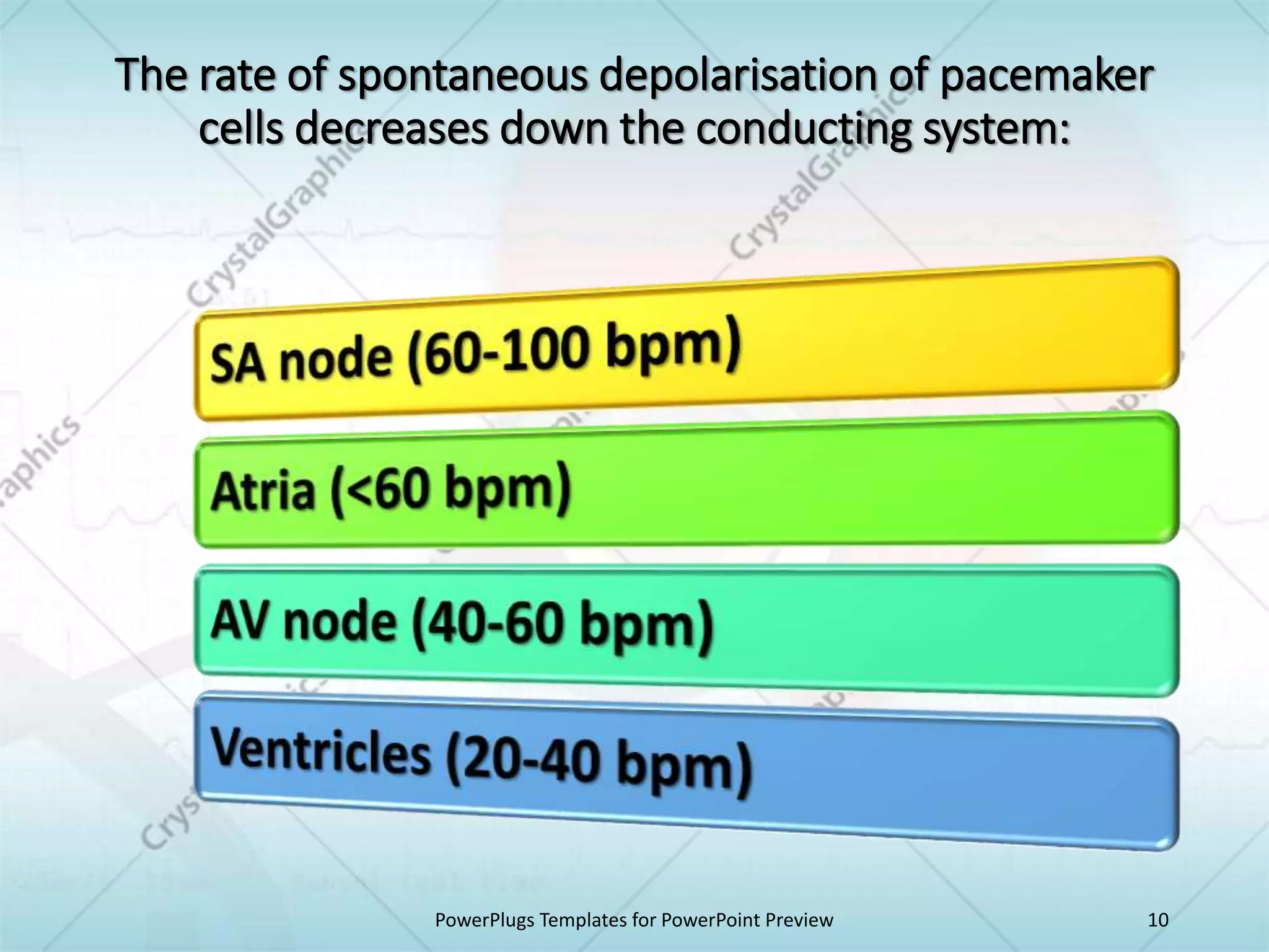 The rate of spontaneous depolarisation of pacemaker
cells decreases down the conducting system:
PowerPlugs Templates for PowerPoint Preview 10
 