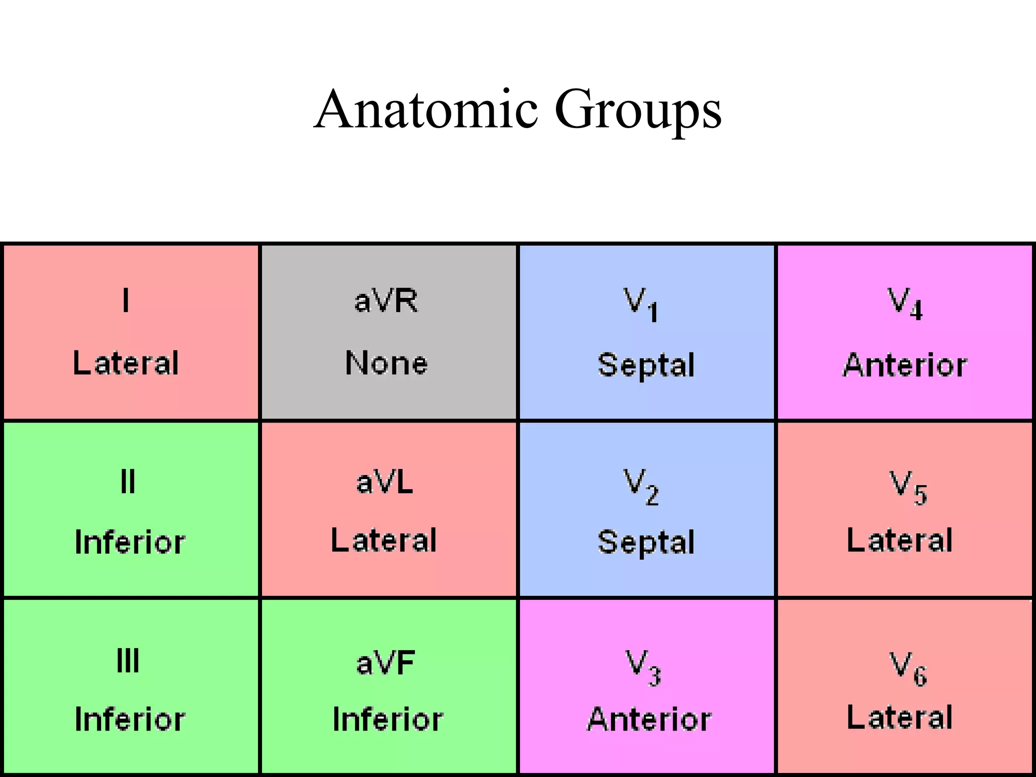 Anatomic Groups
 