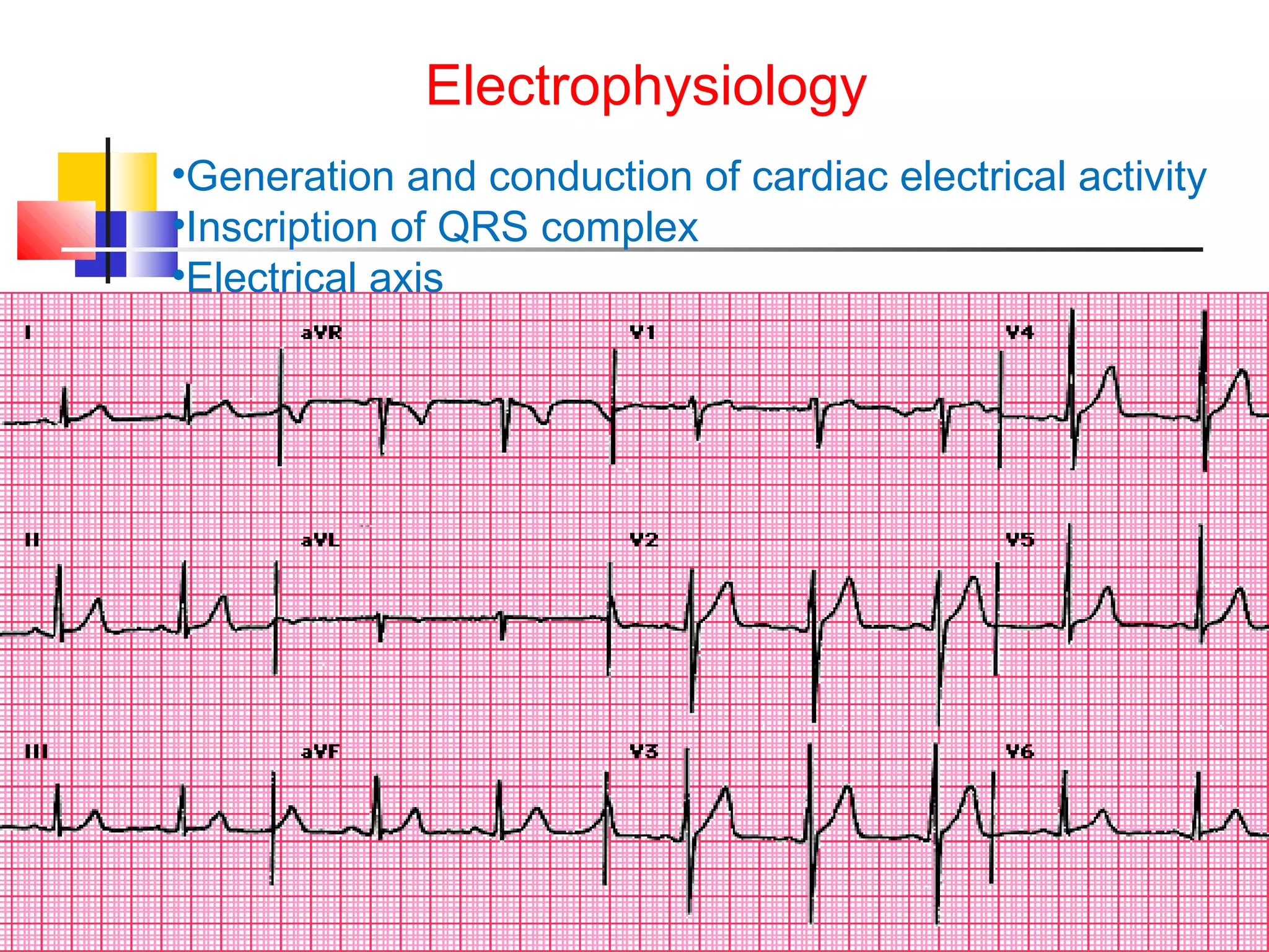 Electrophysiology
•Generation and conduction of cardiac electrical activity
•Inscription of QRS complex
•Electrical axis
 