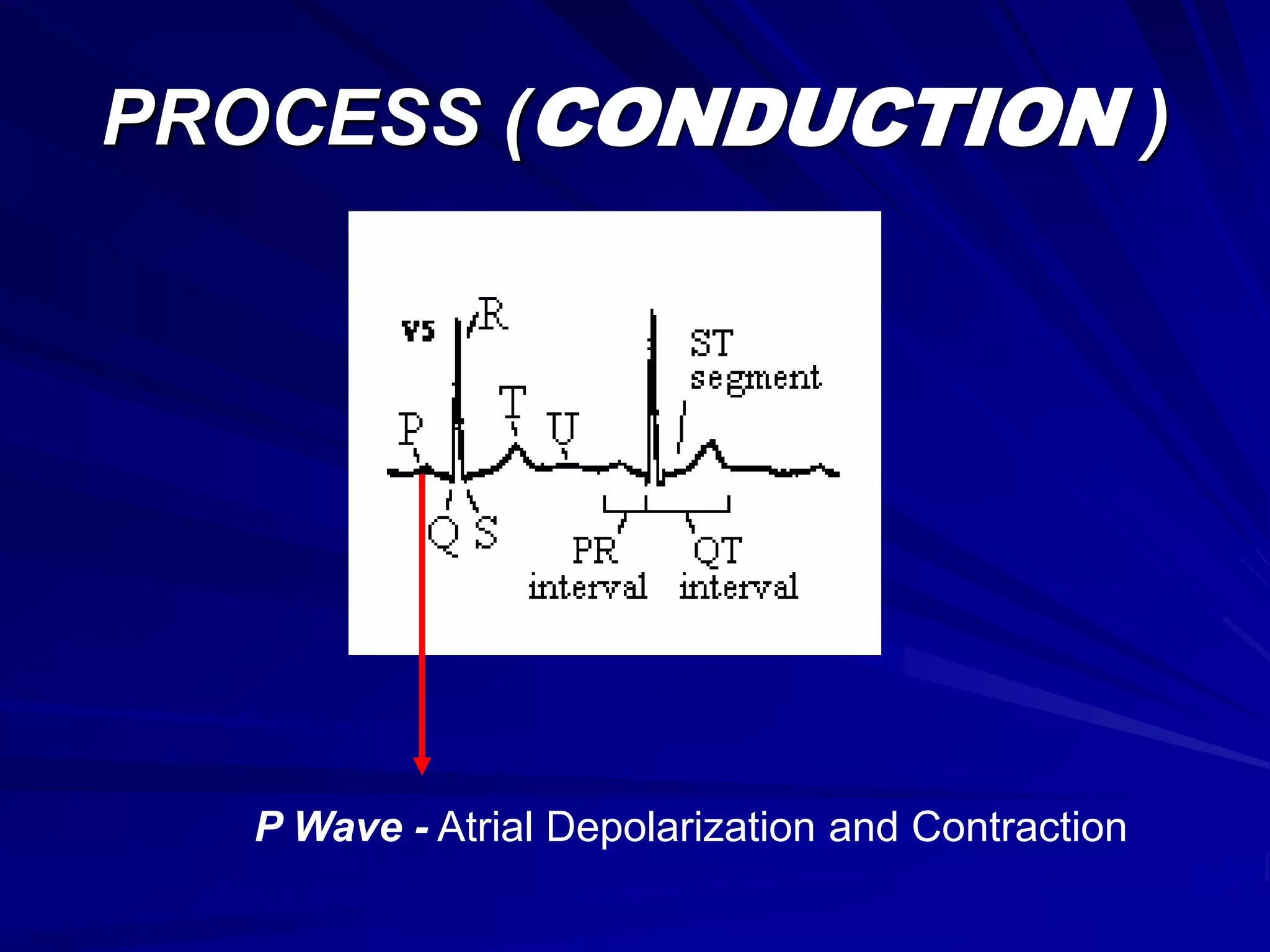 ECG FBISE HSSC-I Chap. 12 XI - Biology | PPT