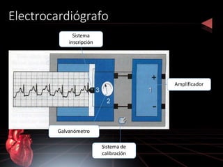Electrocardiógrafo
Amplificador
Sistema
inscripción
Galvanómetro
Sistema de
calibración
 