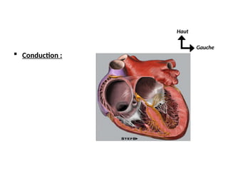  Conduction :
Gauche
Haut
 