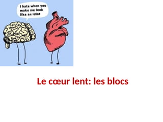 Le cœur lent: les blocs
 
