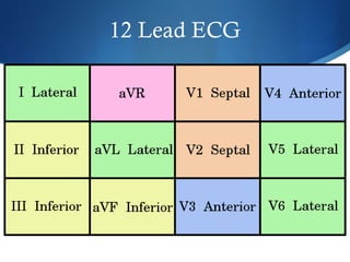12 Lead ECG
 