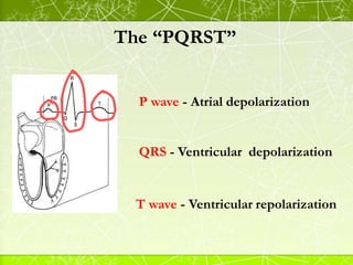 The “PQRST”
P wave - Atrial depolarization
T wave - Ventricular repolarization
QRS - Ventricular depolarization
 