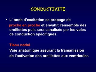 CONDUCTIVITE
• L’ onde d’excitation se propage de
proche en proche et envahit l’ensemble des
oreillettes puis sera canalisée par les voies
de conduction spécifiques
Tissu nodal
Voie anatomique assurant la transmission
de l’activation des oreillettes aux ventricules

 