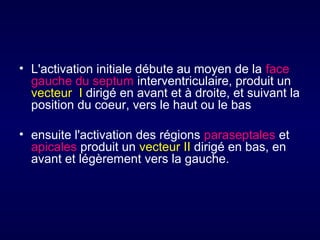 • L'activation initiale débute au moyen de la face
gauche du septum interventriculaire, produit un
vecteur I dirigé en avant et à droite, et suivant la
position du coeur, vers le haut ou le bas
• ensuite l'activation des régions paraseptales et
apicales produit un vecteur II dirigé en bas, en
avant et légèrement vers la gauche.

 