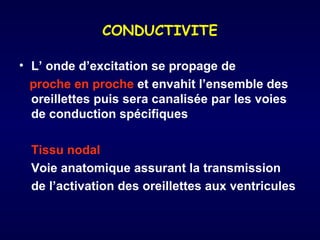 CONDUCTIVITE

• L’ onde d’excitation se propage de
  proche en proche et envahit l’ensemble des
  oreillettes puis sera canalisée par les voies
  de conduction spécifiques

  Tissu nodal
  Voie anatomique assurant la transmission
  de l’activation des oreillettes aux ventricules
 