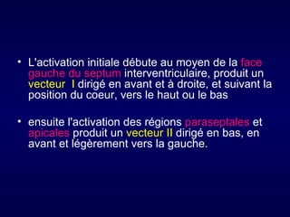 • L'activation initiale débute au moyen de la face
  gauche du septum interventriculaire, produit un
  vecteur I dirigé en avant et à droite, et suivant la
  position du coeur, vers le haut ou le bas

• ensuite l'activation des régions paraseptales et
  apicales produit un vecteur II dirigé en bas, en
  avant et légèrement vers la gauche.
 