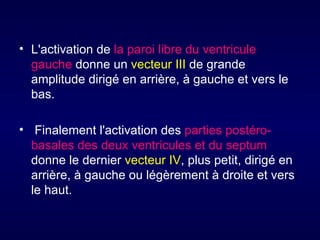 • L'activation de la paroi libre du ventricule
  gauche donne un vecteur III de grande
  amplitude dirigé en arrière, à gauche et vers le
  bas.

• Finalement l'activation des parties postéro-
  basales des deux ventricules et du septum
  donne le dernier vecteur IV, plus petit, dirigé en
  arrière, à gauche ou légèrement à droite et vers
  le haut.
 