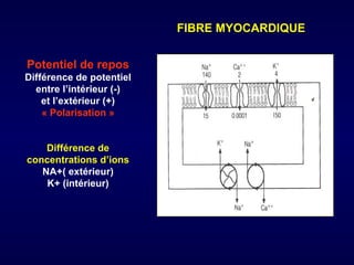FIBRE MYOCARDIQUE


Potentiel de repos
Différence de potentiel
  entre l’intérieur (-)
    et l’extérieur (+)
    « Polarisation »


    Différence de
concentrations d’ions
   NA+( extérieur)
    K+ (intérieur)
 