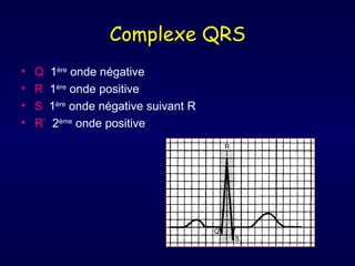 Complexe QRS
•   Q 1ère onde négative
•   R 1ère onde positive
•   S 1ère onde négative suivant R
•   R’ 2ème onde positive
 