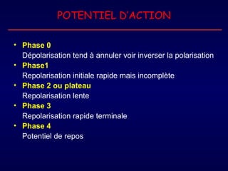POTENTIEL D’ACTION

• Phase 0
  Dépolarisation tend à annuler voir inverser la polarisation
• Phase1
  Repolarisation initiale rapide mais incomplète
• Phase 2 ou plateau
  Repolarisation lente
• Phase 3
  Repolarisation rapide terminale
• Phase 4
  Potentiel de repos
 