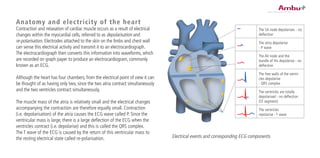 Anatomy and electricity of the heart
Contraction and relaxation of cardiac muscle occurs as a result of electrical
changes within the myocardial cells, referred to as depolarisation and
re-polarisation. Electrodes attached to the skin on the limbs and chest wall
can sense this electrical activity and transmit it to an electrocardiograph.
The electrocardiograph then converts this information into waveforms, which
are recorded on graph paper to produce an electrocardiogram, commonly
known as an ECG.
Although the heart has four chambers, from the electrical point of view it can
be thought of as having only two, since the two atria contract simultaneously
and the two ventricles contract simultaneously.
The muscle mass of the atria is relatively small and the electrical changes
accompanying the contraction are therefore equally small. Contraction
(i.e. depolarisation) of the atria causes the ECG wave called P. Since the
ventricular mass is large, there is a large deflection of the ECG when the
ventricles contract (i.e. depolarise) and this is called the QRS complex.
The T wave of the ECG is caused by the return of this ventricular mass to
the resting electrical state called re-polarisation. Electrical events and corresponding ECG components.
The SA node depolarises - no
deflection
The atria depolarise
- P wave
The AV node and the
bundle of His depolarise - no
deflection
The free walls of the ventri-
cles depolarise
- QRS complex
The ventricles are totally
depolarised - no deflection
(ST segment)
The ventricles
repolarise - T wave
 
