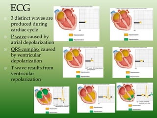 ECG & Heart block [doctors online] | PPTX