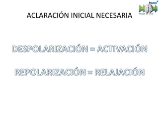 ACLARACIÓN INICIAL NECESARIA
 