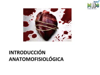 INTRODUCCIÓN
ANATOMOFISIOLÓGICA
 