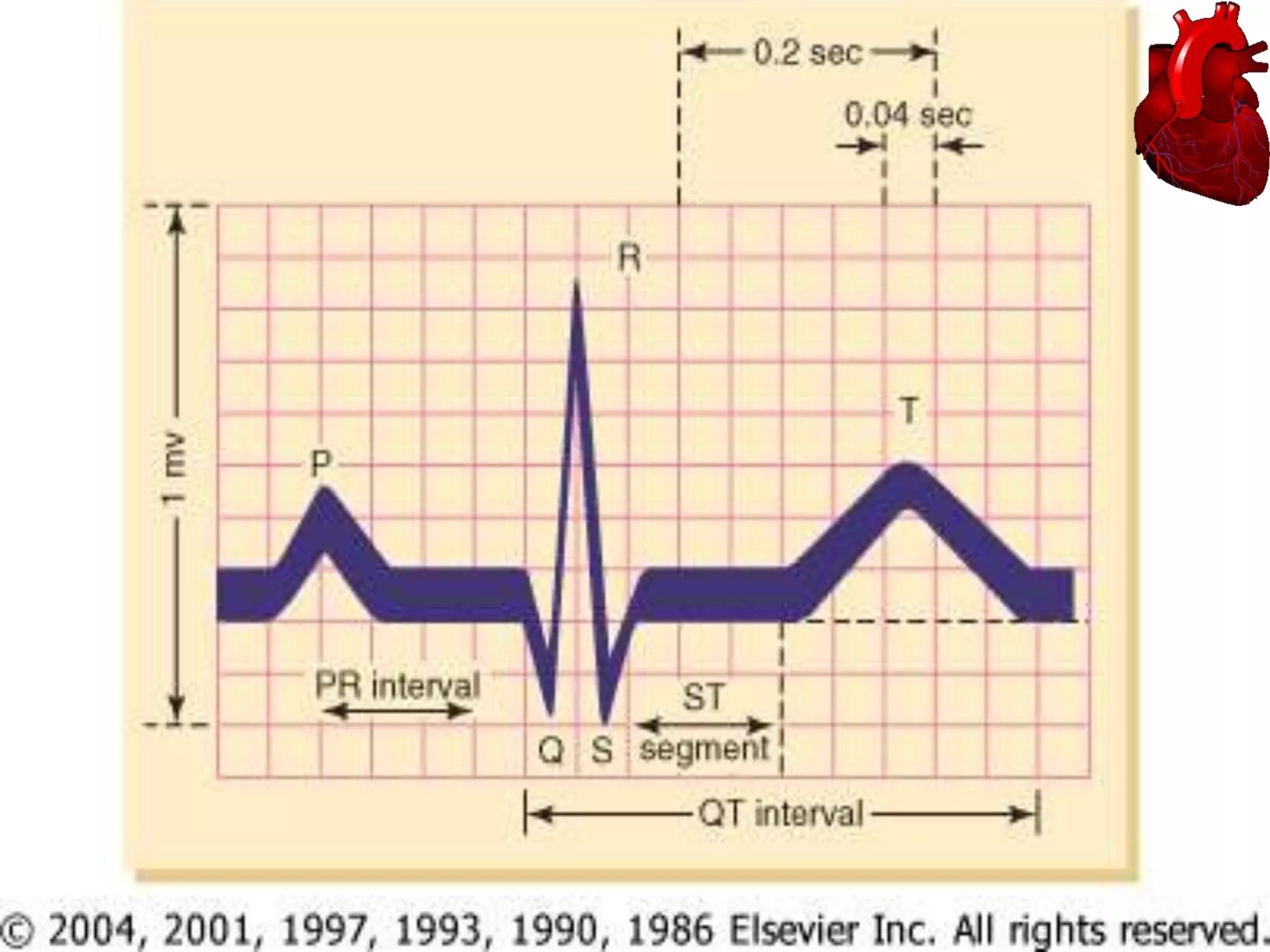 Ctn. Electrocardiogram (ECG)

 