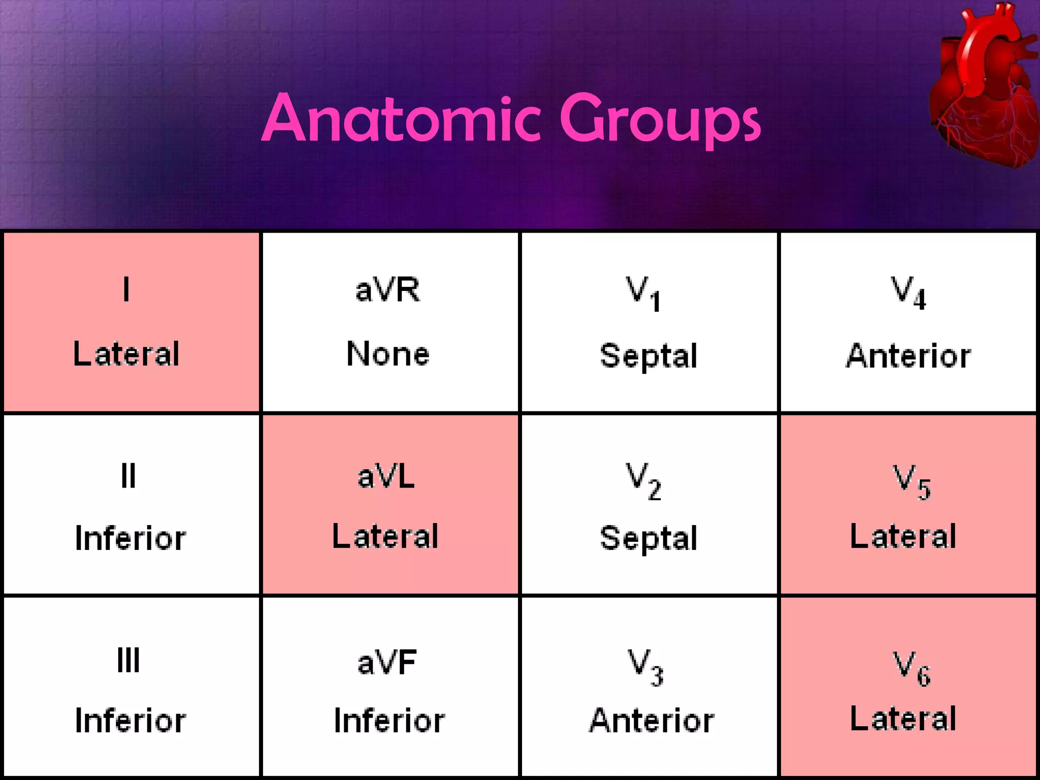 Anatomic Groups

 