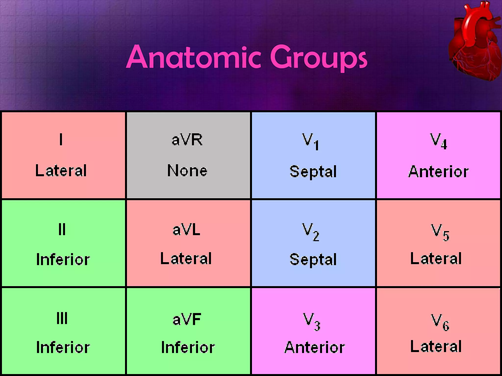 Anatomic Groups

 