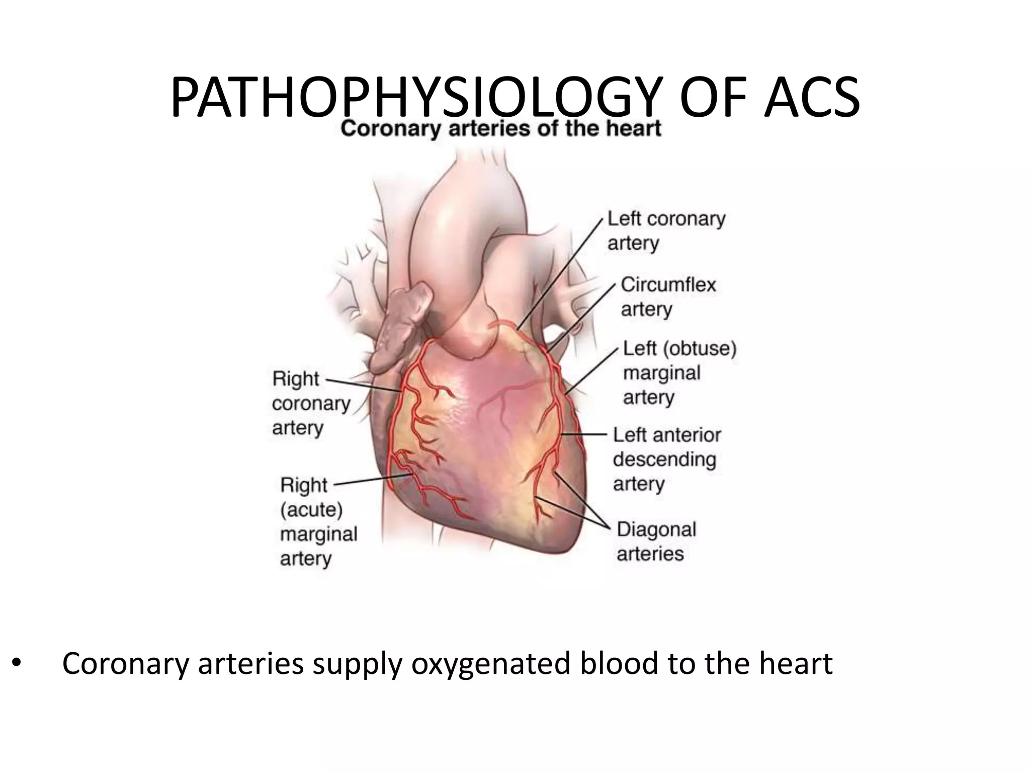 Ecg in acute coronary syndrome and acute care | PPT