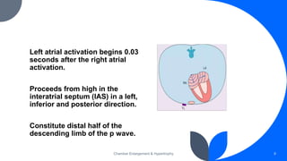 Chamber Enlargement & Hypertrophy 9
Left atrial activation begins 0.03
seconds after the right atrial
activation.
Proceeds from high in the
interatrial septum (IAS) in a left,
inferior and posterior direction.
Constitute distal half of the
descending limb of the p wave.
 