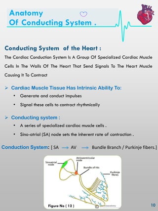 Ecg interpretation | PDF