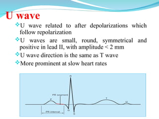 U Box Wave Electrocardiography (ECG)interpretation .ppt