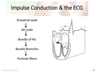 Marc Imhotep Cray, M.D.
Impulse Conduction & the ECG
10
Sinoatrial node
AV node
Bundle of His
Bundle Branches
Purkinje fibers
 