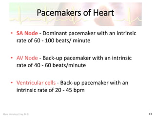 Marc Imhotep Cray, M.D.
Pacemakers of Heart
13
• SA Node - Dominant pacemaker with an intrinsic
rate of 60 - 100 beats/ minute
• AV Node - Back-up pacemaker with an intrinsic
rate of 40 - 60 beats/minute
• Ventricular cells - Back-up pacemaker with an
intrinsic rate of 20 - 45 bpm
 