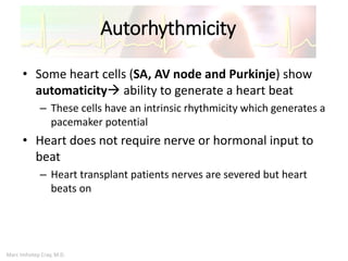 Marc Imhotep Cray, M.D.
Autorhythmicity
• Some heart cells (SA, AV node and Purkinje) show
automaticity ability to generate a heart beat
– These cells have an intrinsic rhythmicity which generates a
pacemaker potential
• Heart does not require nerve or hormonal input to
beat
– Heart transplant patients nerves are severed but heart
beats on
 