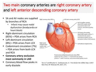 Two main coronary arteries are right coronary artery
and left anterior descending coronary artery
Tao Le T and Bhushan V, Cardiovascular, In: First Aid for the USMLE Step 1 2017.
New York, NY: McGraw-Hill ,2017; 271.
 SA and AV nodes are supplied
by branches of RCA
• Infarct may cause nodal
dysfunction (bradycardia or
heart block)
 Right-dominant circulation
(85%) = PDA arises from RCA
 Left-dominant circulation
(8%) = PDA arises from LCX
 Codominant circulation (7%)
= PDA arises from both LCX
and RCA
 Coronary artery occlusion
most commonly in LAD
 Coronary blood flow peaks in
early diastole
 