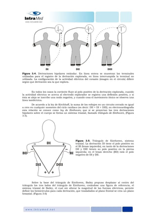 DI DII DIII
Figura 3.4. Derivaciones bipolares estándar. En línea entera se muestran las terminales
utilizadas para el registro de la derivación explorada, en línea interrumpida la terminal no
utilizada. La configuración de la actividad eléctrica del corazón (imagen en el círculo) difiere
según que derivación sea la que explora.
En todos los casos la corriente fluye al polo positivo de la derivación explorada, cuando
la actividad eléctrica se acerca al electrodo explorador se registra una deflexión positiva, y si
ésta se aleja se inscribe una onda negativa, y cuando cesa el movimiento iónico se observa una
línea isoeléctrica.
De acuerdo a la ley de Kirchhoff, la suma de los voltajes en un circuito cerrado es igual
a cero en cualquier momento del ciclo cardiaco (es decir: DII = DI + DIII); en electrocardiografía
esta relación se conoce como ley de Einthoven, que si se proyectan las tres derivaciones
bipolares sobre el cuerpo se forma un sistema triaxial, llamado triángulo de Einthoven, (Figura
3.5).
Figura 3.5. Triángulo de Einthoven, sistema
triaxial. La derivación DI tiene el polo positivo en
el BI (brazo izquierdo), en tanto de la derivaciones
DII y DIII tienen su polo positivo en la pierna
izquierda; en el brazo derecho (BD) está el polo
negativo de DI y DII.
Sobre la base del triángulo de Einthoven, Bailey propuso desplazar al centro del
triángulo los tres lados del triángulo de Einthoven, creándose una figura de referencia, el
sistema triaxial de Bailey, el cual sin alterar la magnitud de las fuerzas eléctricas, permite
definir los hemicírculos para cada derivación, que trasladados al plano frontal se crea un plano
hexaxial. (Figura 3.6)
 