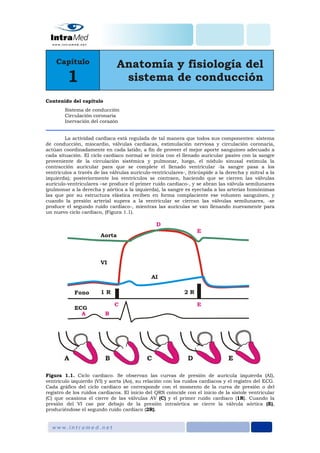 Contenido del capítulo
Sistema de conducción
Circulación coronaria
Inervación del corazón
La actividad cardiaca está regulada de tal manera que todos sus componentes: sistema
de conducción, miocardio, válvulas cardiacas, estimulación nerviosa y circulación coronaria,
actúan coordinadamente en cada latido, a fin de proveer el mejor aporte sanguíneo adecuado a
cada situación. El ciclo cardiaco normal se inicia con el llenado auricular pasivo con la sangre
proveniente de la circulación sistémica y pulmonar, luego, el nódulo sinusal estimula la
contracción auricular para que se complete el llenado ventricular -la sangre pasa a los
ventrículos a través de las válvulas aurículo-ventriculares-, (trícúspide a la derecha y mitral a la
izquierda); posteriormente los ventrículos se contraen, haciendo que se cierren las válvulas
aurículo-ventriculares –se produce el primer ruido cardiaco-, y se abran las válvula semilunares
(pulmonar a la derecha y aórtica a la izquierda), la sangre es eyectada a las arterias homónimas
las que por su estructura elástica reciben en forma complaciente ese volumen sanguíneo, y
cuando la presión arterial supera a la ventricular se cierran las válvulas semilunares, -se
produce el segundo ruido cardiaco-, mientras las aurículas se van llenando nuevamente para
un nuevo ciclo cardiaco, (Figura 1.1).
Figura 1.1. Ciclo cardiaco. Se observan las curvas de presión de aurícula izquierda (AI),
ventrículo izquierdo (VI) y aorta (Ao), su relación con los ruidos cardiacos y el registro del ECG.
Cada gráfico del ciclo cardiaco se corresponde con el momento de la curva de presión o del
registro de los ruidos cardiacos. El inicio del QRS coincide con el inicio de la sístole ventricular
(C) que ocasiona el cierre de las válvulas AV (C) y el primer ruido cardiaco (1R). Cuando la
presión del VI cae por debajo de la presión intraórtica se cierre la válvula aórtica (E),
produciéndose el segundo ruido cardiaco (2R).
 