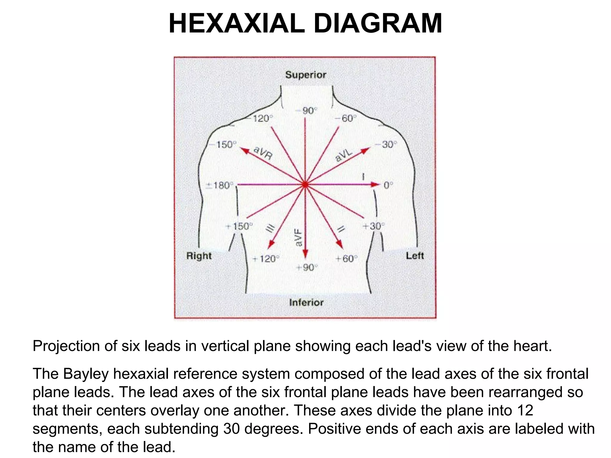Ecg lecture | PPT